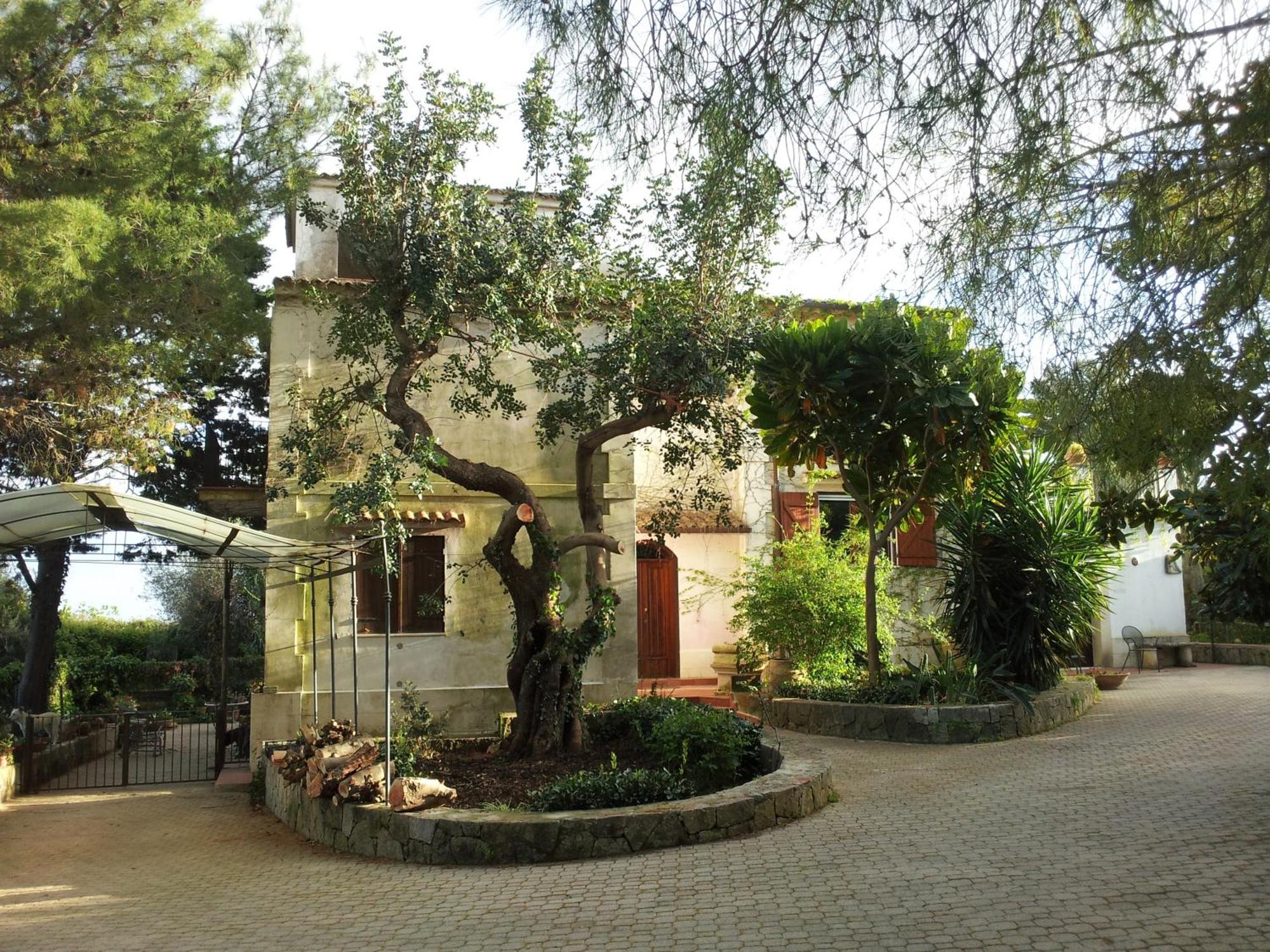 Eurialo Green Suites Belvedere  Exterior photo